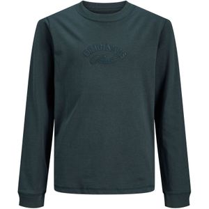 Jack & Jones Junior Shirt  spar