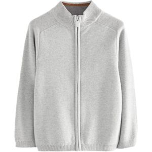 Next Gebreid vest  grijs