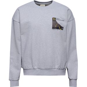 HALO Sweatshirt  grijs / gemengde kleuren