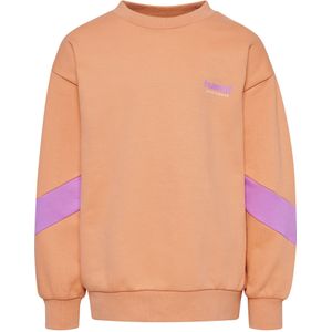 Hummel Sweatshirt  lichtgroen / oranje / pink