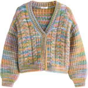 Next Gebreid vest  gemengde kleuren