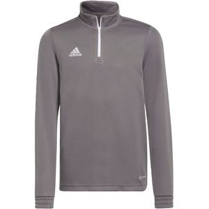 Adidas Entrada Trainingssweater Junior0