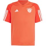 Functioneel shirt 'FC Bayern München Tiro 23'