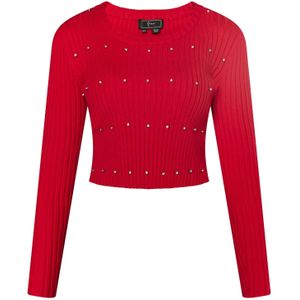 faina Trui  knalrood / zilver