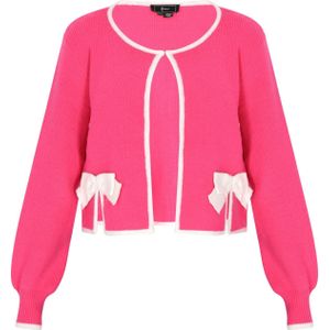 faina Gebreid vest  pink / wit
