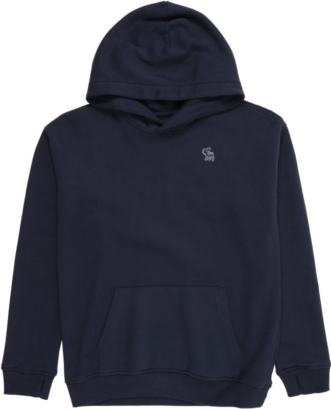 Abercrombie & Fitch - Hoodie - Navy Blazer