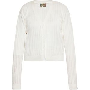 ebeeza Gebreid vest  wolwit