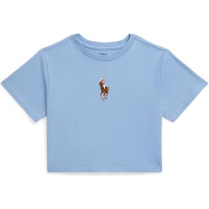 Polo Ralph Lauren Shirt  opaal / bruin / rosa / wit