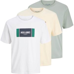 JACK & JONES Shirt 'JJHAYATO'  pasteelgeel / pastelgroen / wit