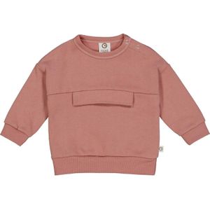 Müsli by GREEN COTTON Sweatshirt  donkeroranje