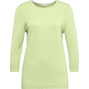 Goldner Trui  lichtgroen