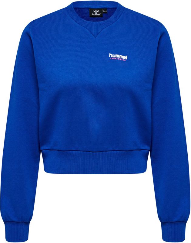 Hummel - hmlLGC Shai Short - Sweatshirt