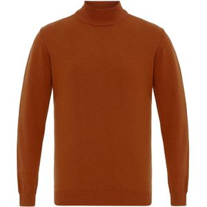 Anou Anou Trui  bruin