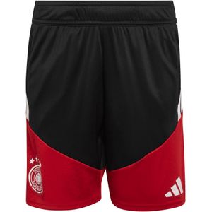 ADIDAS PERFORMANCE Sportbroek 'Deutschland 26 Tiro'  rood / zwart / wit