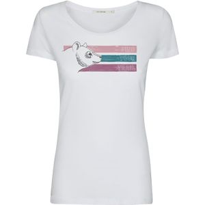 GREENBOMB Shirt 'Animal Bear Trail'  petrol / lila / oudroze / wit