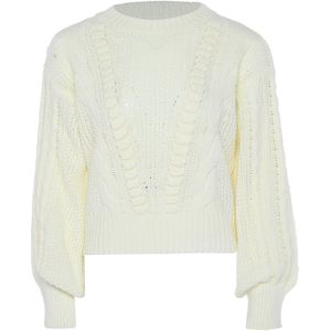 usha BLUE LABEL Trui  wolwit