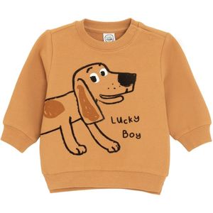 Cool Club Sweatshirt  bruin / zwart / wit