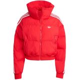 ADIDAS ORIGINALS - Adicolor - Winterjas - Rood - Gewatteerd