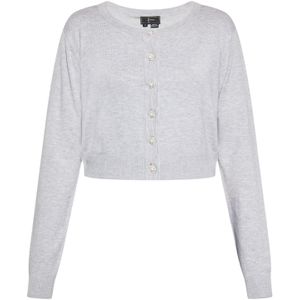 faina Gebreid vest  lichtgrijs