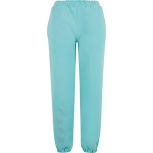 Felicious Broek  turquoise / zilver