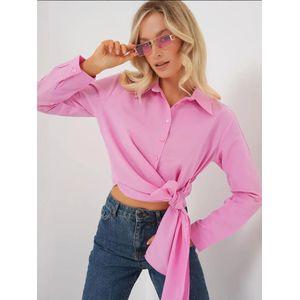 Bigdart Blouse  lichtroze