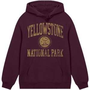 F4NT4STIC Sweatshirt 'US National Parks Yellowstone Wyoming'  bruin / goudgeel