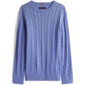 TOMMY HILFIGER Trui  violetblauw