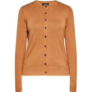 usha BLACK LABEL Gebreid vest  donkerbeige