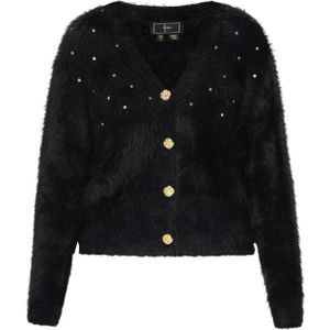 faina Gebreid vest  zwart