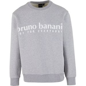 Bruno Banani Sweatshirt  lichtgrijs / wit