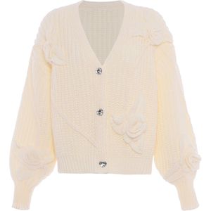 faina Gebreid vest  wolwit