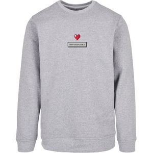F4NT4STIC Sweatshirt  grijs / gemengde kleuren