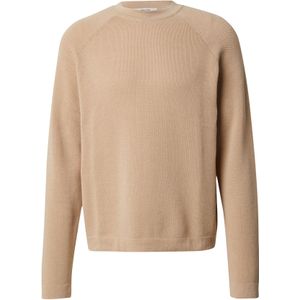 DAN FOX APPAREL Trui 'Pablo'  beige
