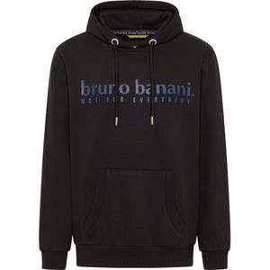 Bruno Banani Sweatshirt 'CARVER'  pruim / zwart