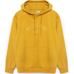 BIG STAR Sweatshirt 'ASLAN'  geel