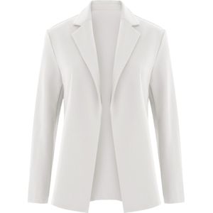 Imily Bela Blazers  wit