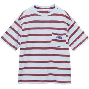 MANGO KIDS Shirt  lichtblauw / bourgogne
