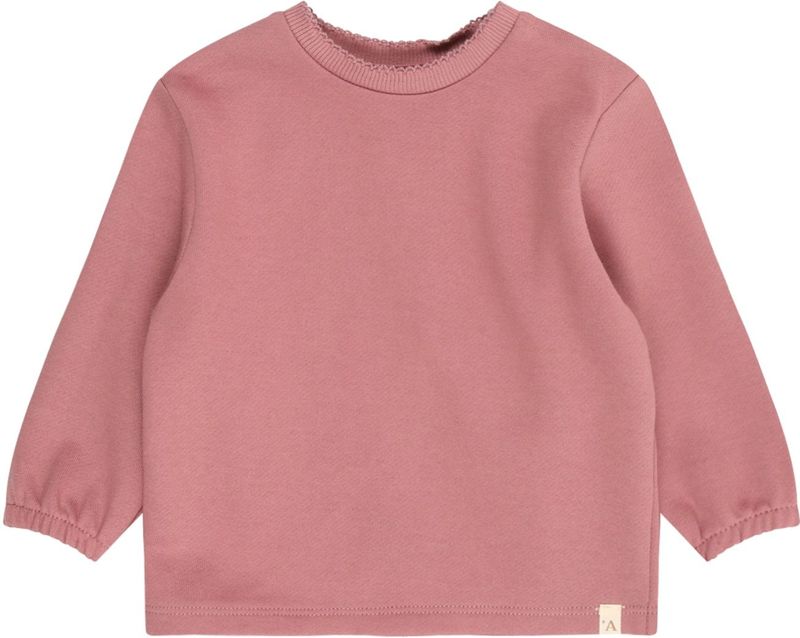 Lil'Atelier Sweatshirt 'NBFKILANO'  oudroze