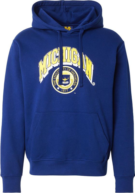 Jack & Jones - Michigan - Hoodie - Capuchon - Relaxte Pasvorm