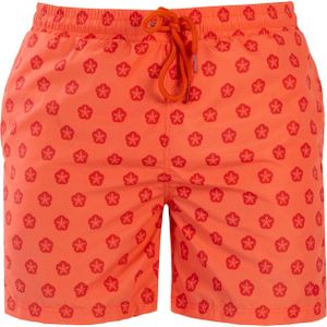 Frozen Cape Boardshorts  rood