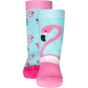 EWERS Sokken  aqua / pink / zwart