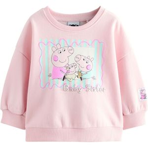 Next Sweatshirt  lichtblauw / geel / rosa / lichtroze