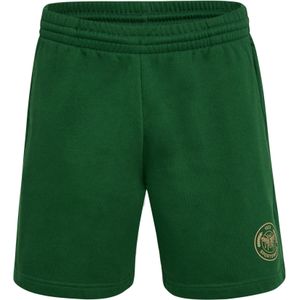 Hummel Sportbroek 'SWARM'  beige / donkergroen