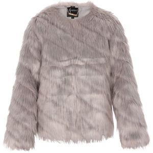 faina Tussenjas  grijs