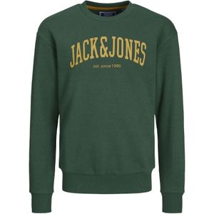 Sweatshirt 'JJEJosh'