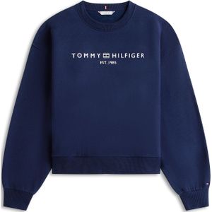 TOMMY HILFIGER Sweatshirt  navy / wit