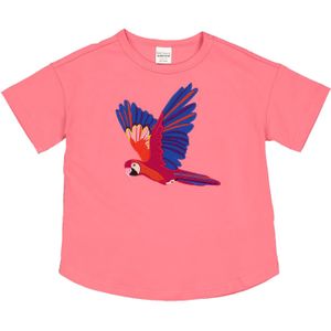 Fred's World by GREEN COTTON Shirt  blauw / pink / rood