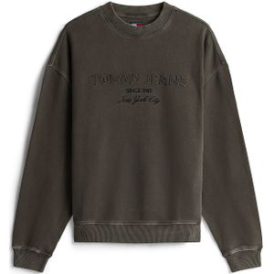 Tommy Jeans Sweatshirt  antraciet