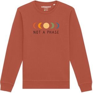 Watapparel Sweatshirt 'Not a Phase'  lichtbruin / gemengde kleuren