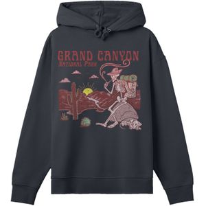 F4NT4STIC Sweatshirt 'US National Parks '  gemengde kleuren / zwart